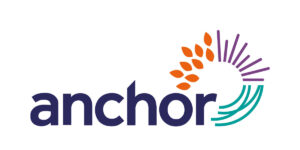 Anchor Logo