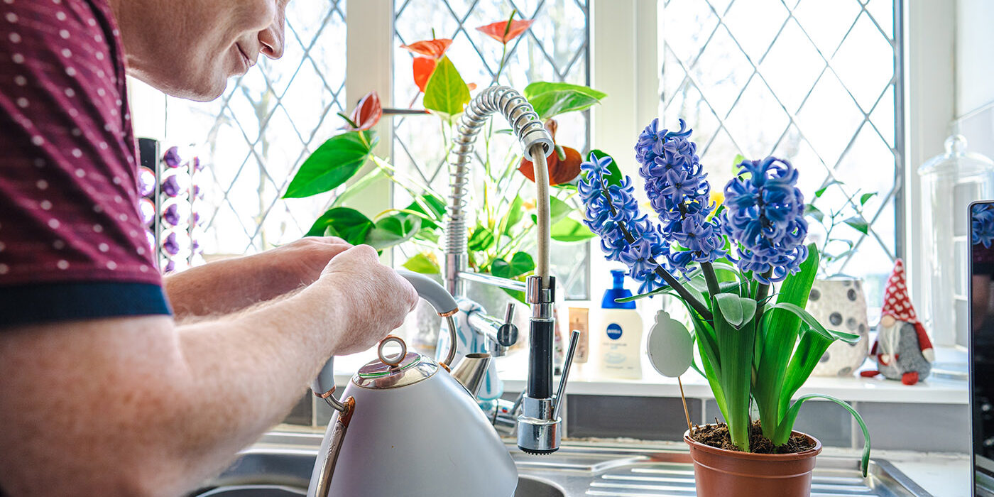 young man filling the kettle in front of a kitchen window where there are many flowers in bloom on the window ledge