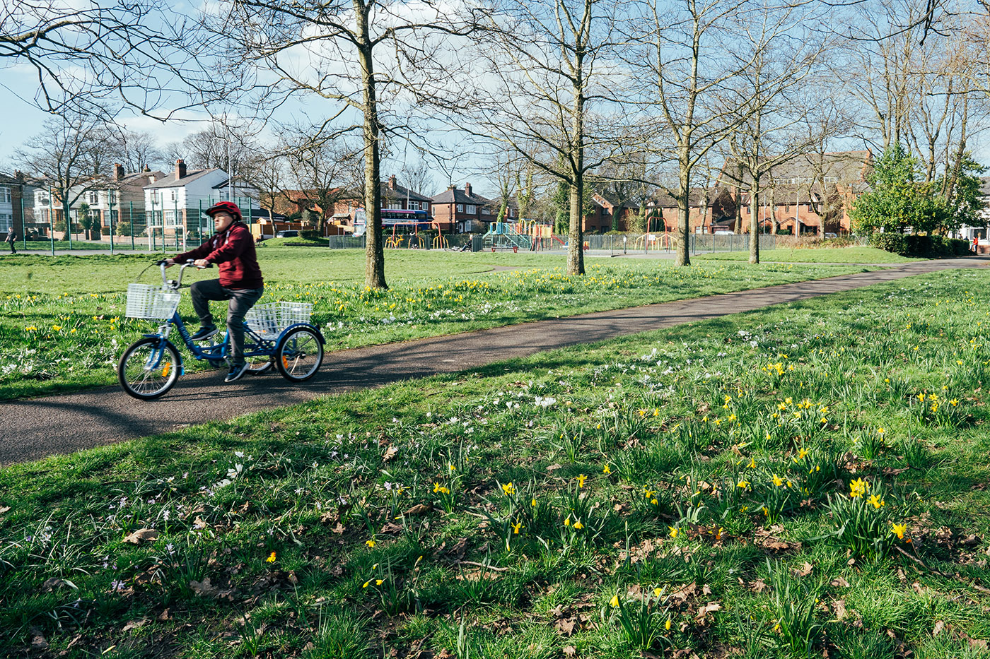 young man on a bike, riding through a park on a sunny day